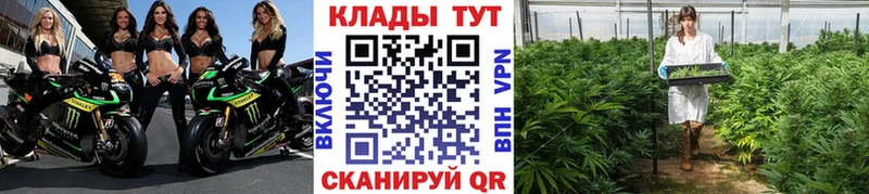 Где найти наркотики Зеленодольск Канабис  Меф мяу мяу  Псилоцибиновые грибы  Гашиш 